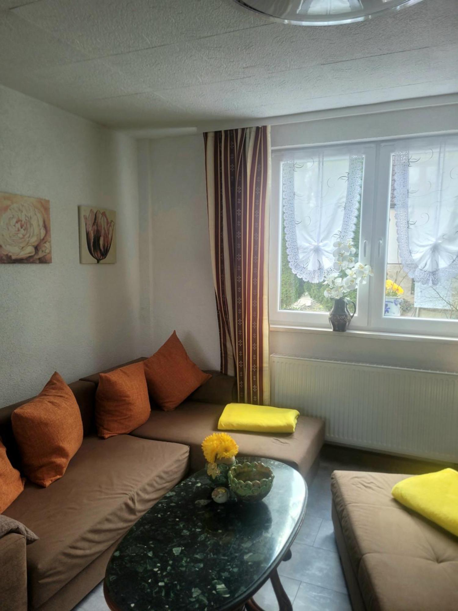 Sirisferienhaus Kurort Steinbach-Hallenberg Luaran gambar